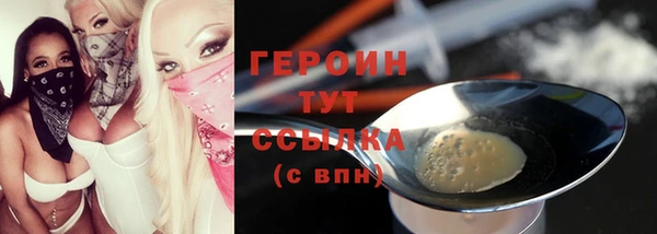 индика Протвино