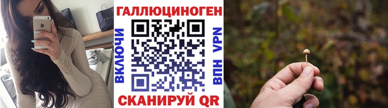 где продают   Кудымкар  Галлюциногенные грибы MAGIC MUSHROOMS 